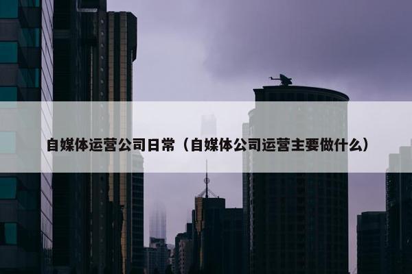 自媒体运营公司日常（自媒体公司运营主要做什么）
