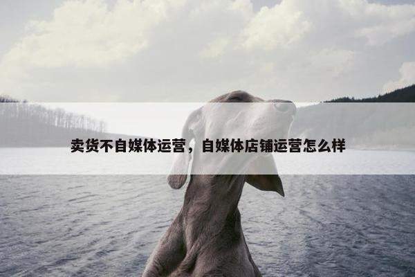 卖货不自媒体运营，自媒体店铺运营怎么样
