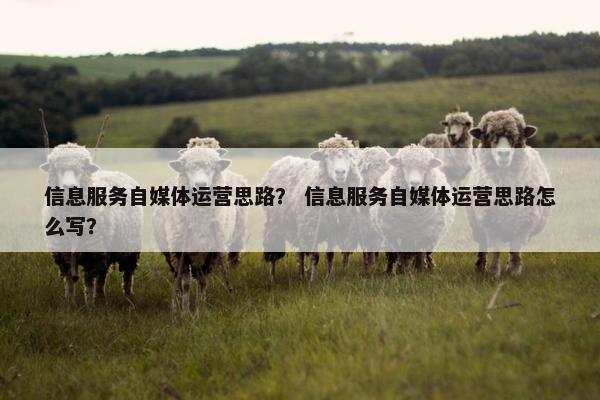 信息服务自媒体运营思路？ 信息服务自媒体运营思路怎么写？