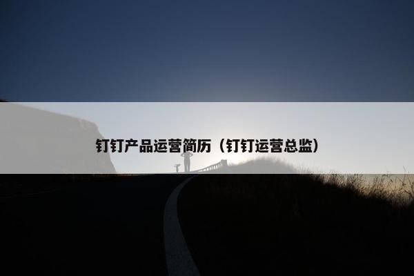 钉钉产品运营简历（钉钉运营总监）