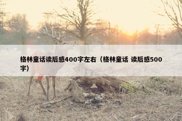 格林童话读后感400字左右（格林童话 读后感500字）