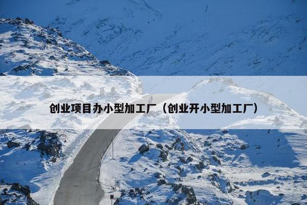 创业项目办小型加工厂（创业开小型加工厂）