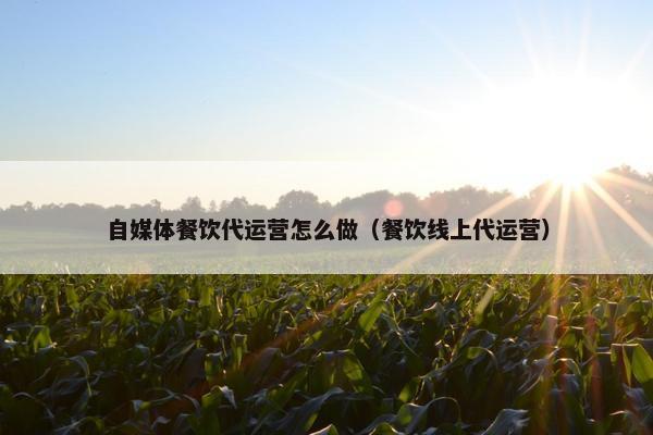 自媒体餐饮代运营怎么做（餐饮线上代运营）