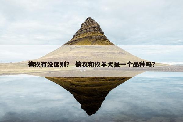 德牧有没区别？ 德牧和牧羊犬是一个品种吗？