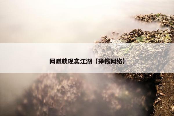 网赚就现实江湖（挣钱网络）
