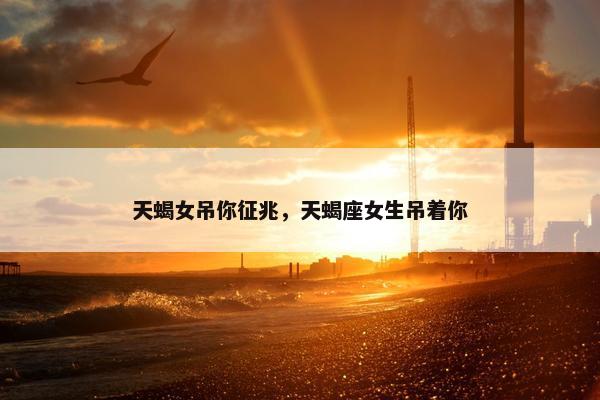 天蝎女吊你征兆，天蝎座女生吊着你