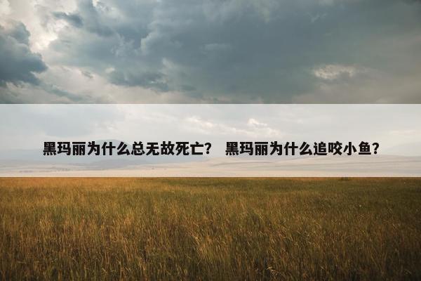 黑玛丽为什么总无故死亡？ 黑玛丽为什么追咬小鱼？