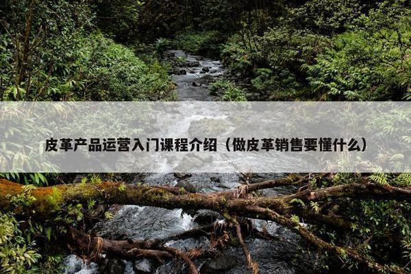 皮革产品运营入门课程介绍（做皮革销售要懂什么）
