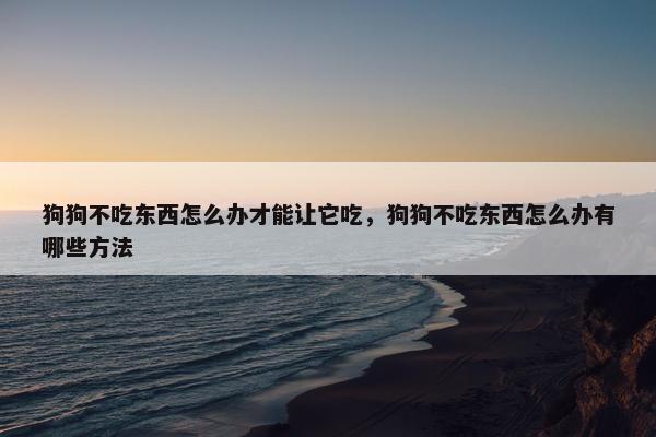 狗狗不吃东西怎么办才能让它吃，狗狗不吃东西怎么办有哪些方法