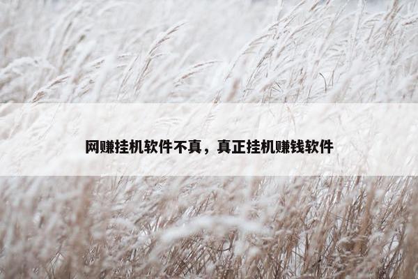 网赚挂机软件不真，真正挂机赚钱软件