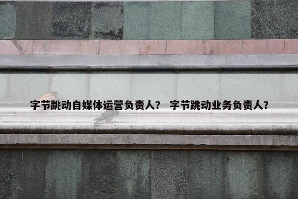 字节跳动自媒体运营负责人？ 字节跳动业务负责人？