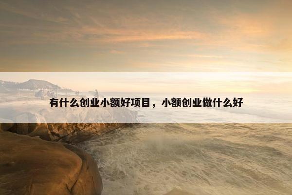 有什么创业小额好项目，小额创业做什么好