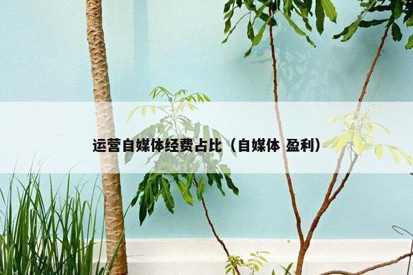 运营自媒体经费占比（自媒体 盈利）