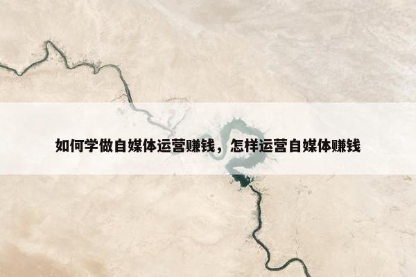 如何学做自媒体运营赚钱，怎样运营自媒体赚钱