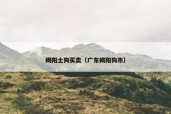 揭阳土狗买卖（广东揭阳狗市）