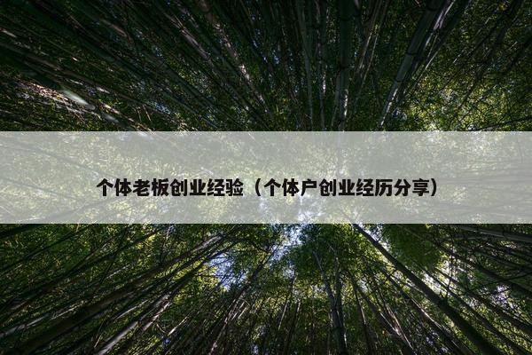 个体老板创业经验（个体户创业经历分享）
