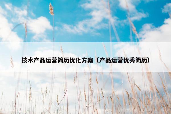 技术产品运营简历优化方案（产品运营优秀简历）
