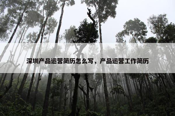 深圳产品运营简历怎么写，产品运营工作简历