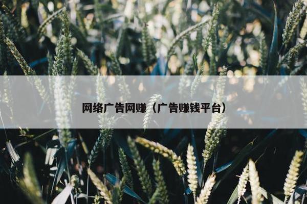 网络广告网赚（广告赚钱平台）