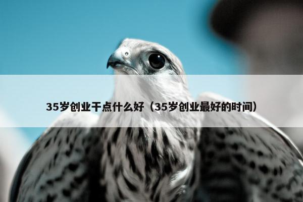35岁创业干点什么好（35岁创业最好的时间）