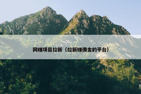 网赚项目拉新（拉新赚佣金的平台）