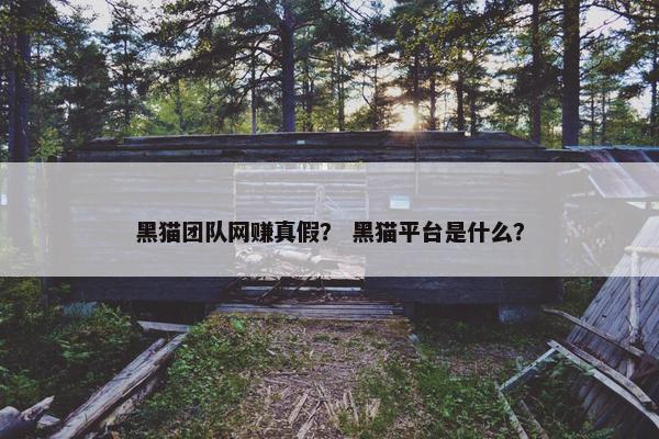 黑猫团队网赚真假？ 黑猫平台是什么？