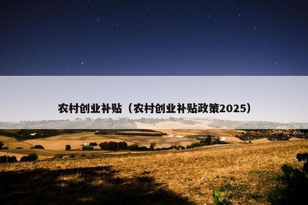 农村创业补贴（农村创业补贴政策2025）