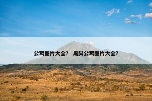 公鸡图片大全？ 黑脚公鸡图片大全？