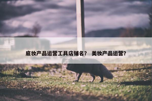 底妆产品运营工具店铺名？ 美妆产品运营？