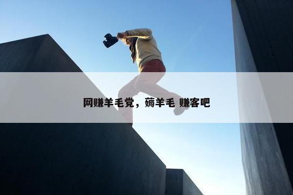网赚羊毛党，薅羊毛 赚客吧