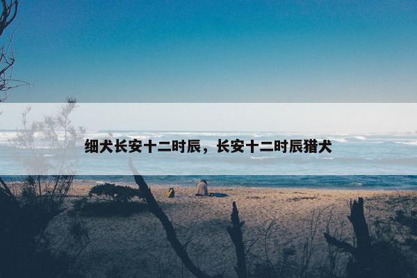 细犬长安十二时辰，长安十二时辰猎犬