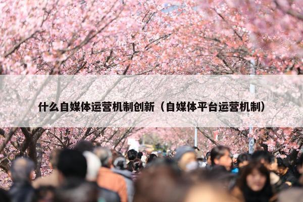 什么自媒体运营机制创新（自媒体平台运营机制）