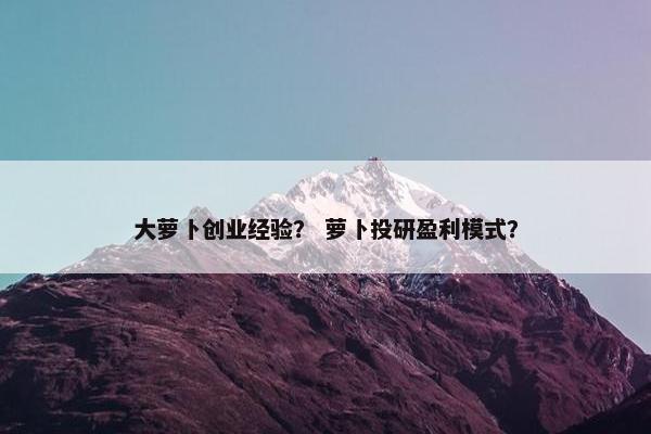 大萝卜创业经验？ 萝卜投研盈利模式？