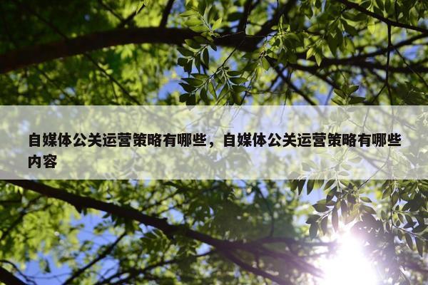 自媒体公关运营策略有哪些，自媒体公关运营策略有哪些内容