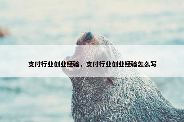 支付行业创业经验，支付行业创业经验怎么写