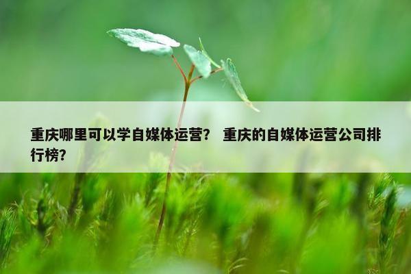 重庆哪里可以学自媒体运营？ 重庆的自媒体运营公司排行榜？