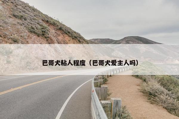 巴哥犬粘人程度（巴哥犬爱主人吗）