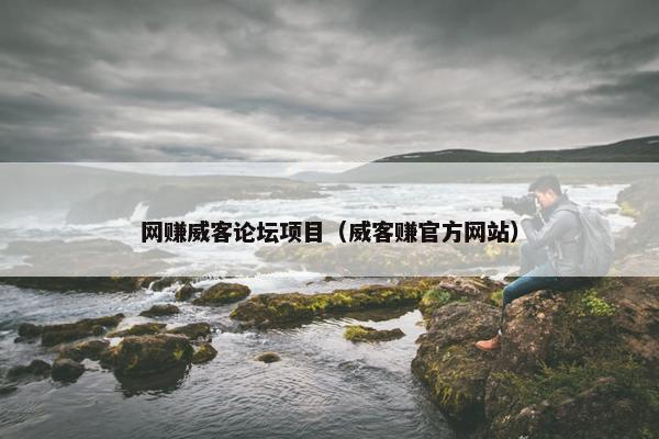 网赚威客论坛项目（威客赚官方网站）
