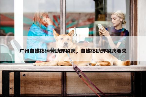 广州自媒体运营助理招聘，自媒体助理招聘要求
