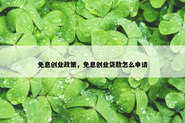 免息创业政策，免息创业贷款怎么申请