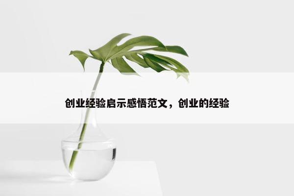 创业经验启示感悟范文，创业的经验