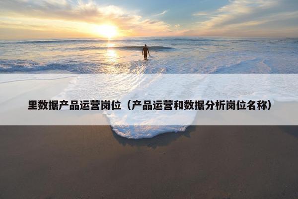 里数据产品运营岗位（产品运营和数据分析岗位名称）