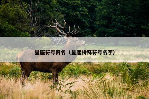 星座符号网名（星座特殊符号名字）