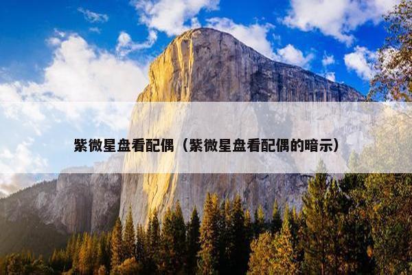 紫微星盘看配偶（紫微星盘看配偶的暗示）
