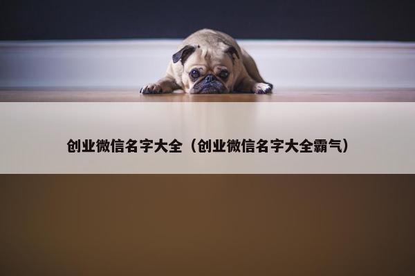 创业微信名字大全（创业微信名字大全霸气）