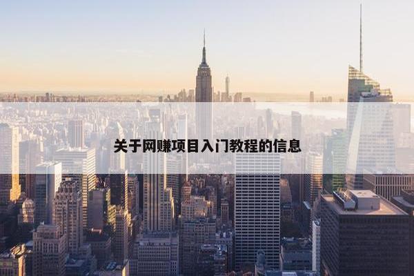 关于网赚项目入门教程的信息