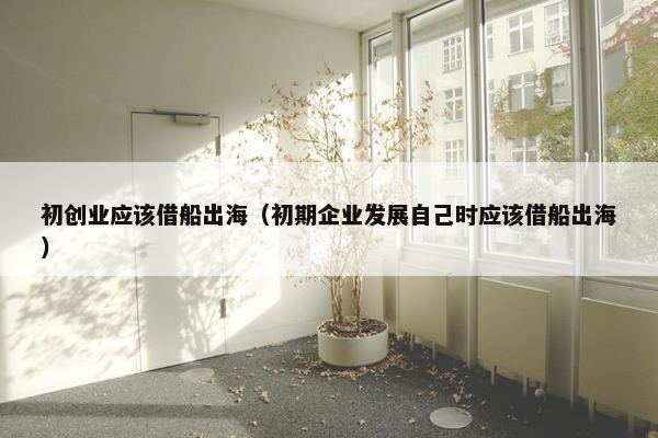 初创业应该借船出海（初期企业发展自己时应该借船出海）
