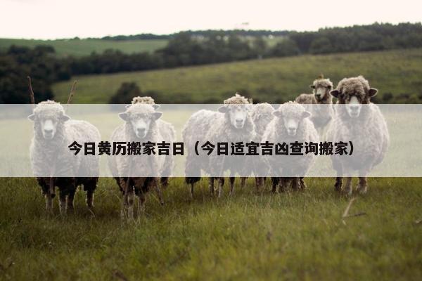 今日黄历搬家吉日（今日适宜吉凶查询搬家）