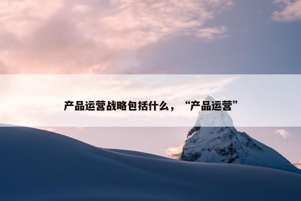 产品运营战略包括什么，“产品运营”