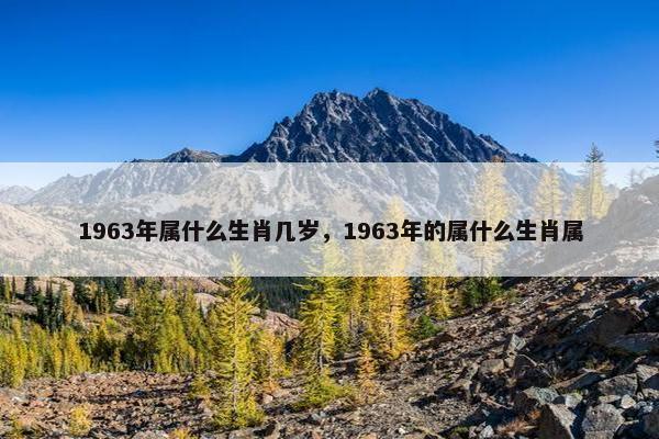 1963年属什么生肖几岁，1963年的属什么生肖属